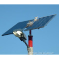 Solar Powered Light (SLD-SL-1041)